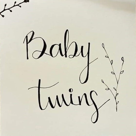 Baby Twins Card