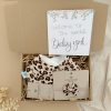 Mini Baby Girls Gift Animal Brown in box