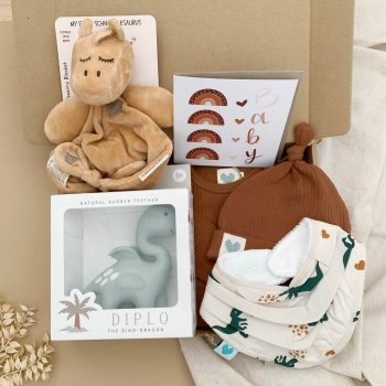 Dino Love Baby Hamper Main Image